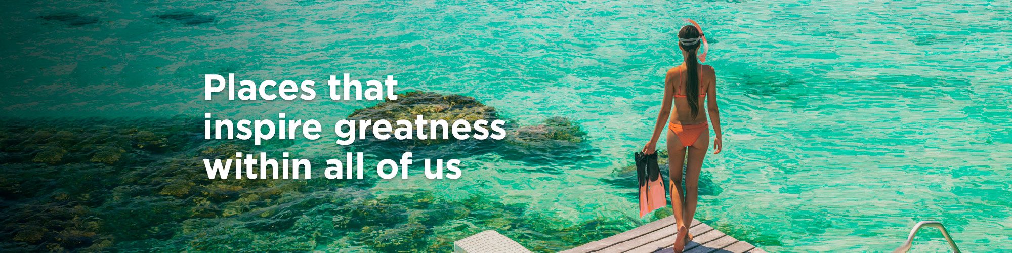 Learn about the wildlife in the Dominican Republic, as much as you want, with discounts on the best activities.